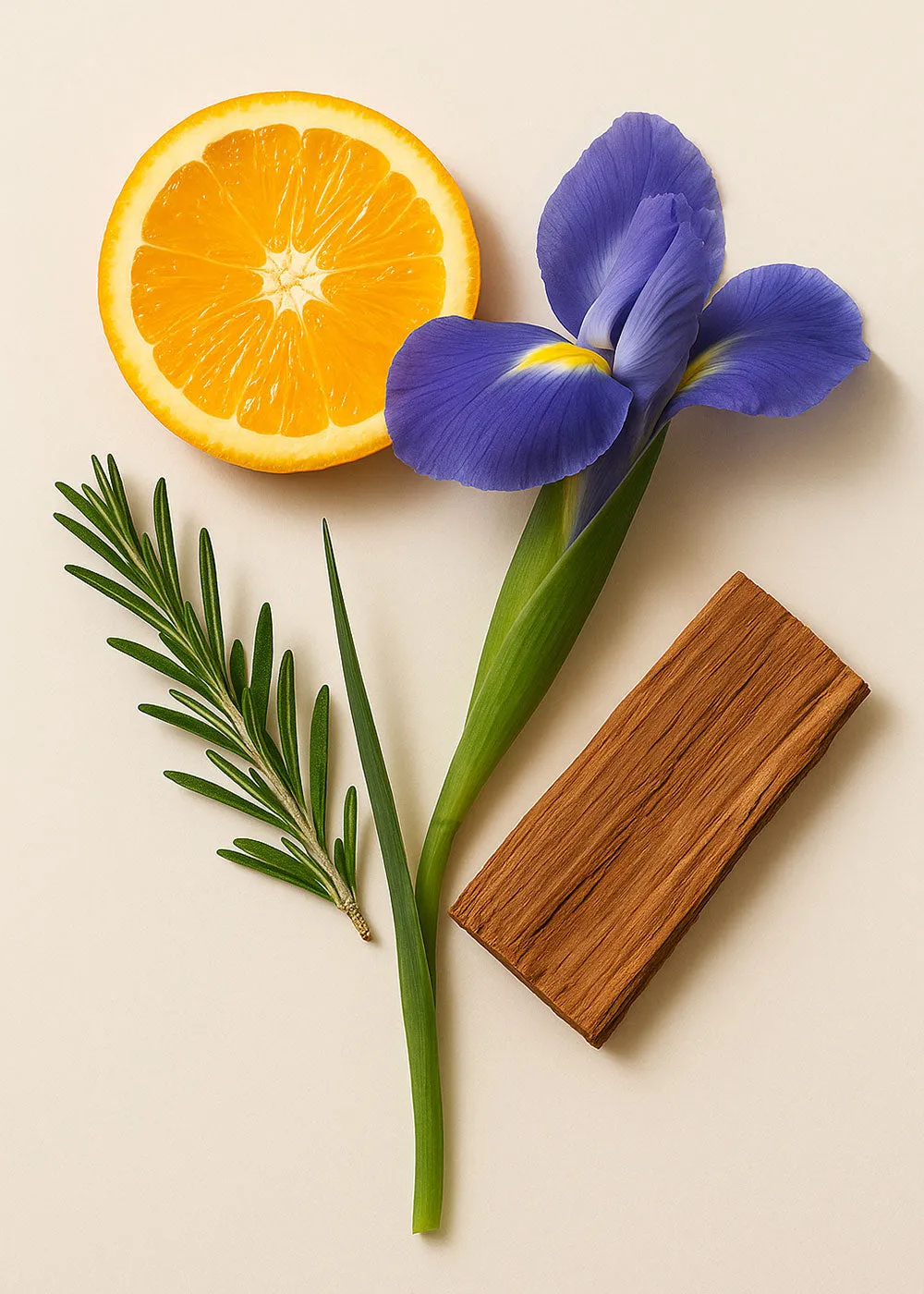 RP Paris Azzura parfume 50ml citrus solrig