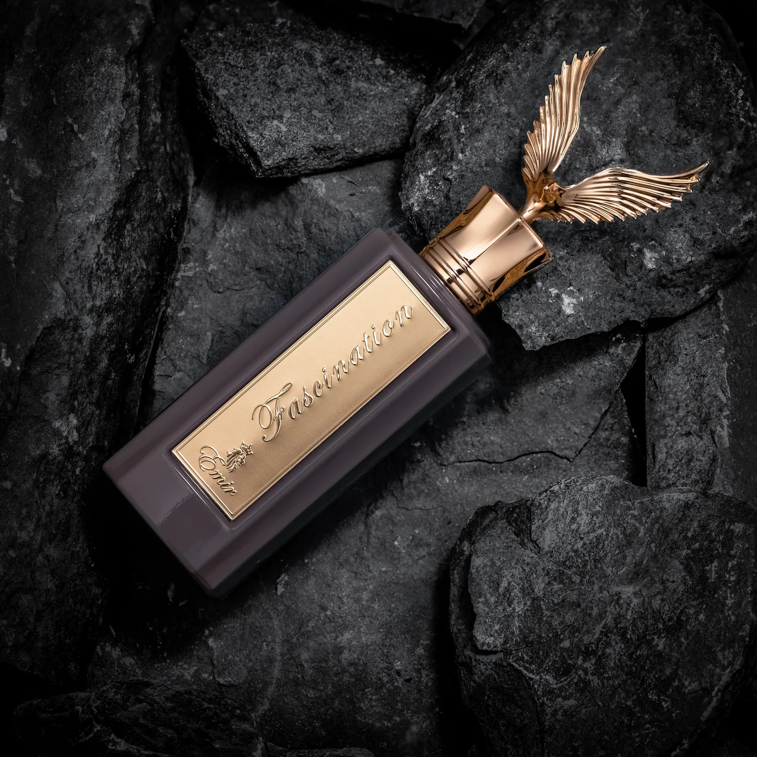 Paris Corner Emir Fascination eau de parfum 100ml træ