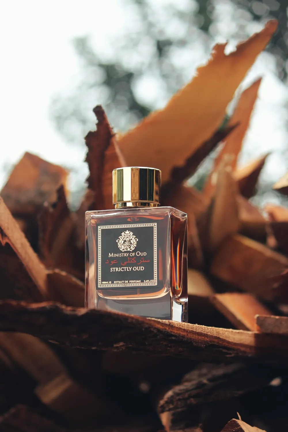 Paris Corner Ministry of Oud Strictly Oud Parfume 100 ml