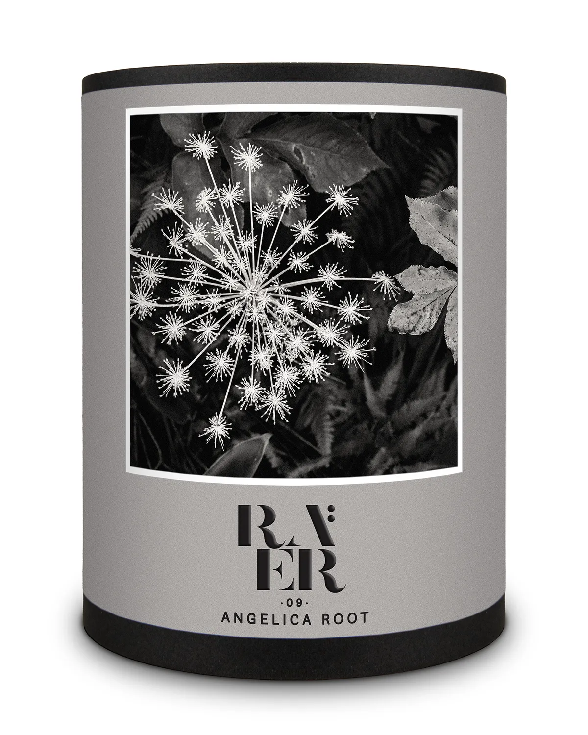 Raer Scents 09 Angelica Root parfume 30 ml frisk træ