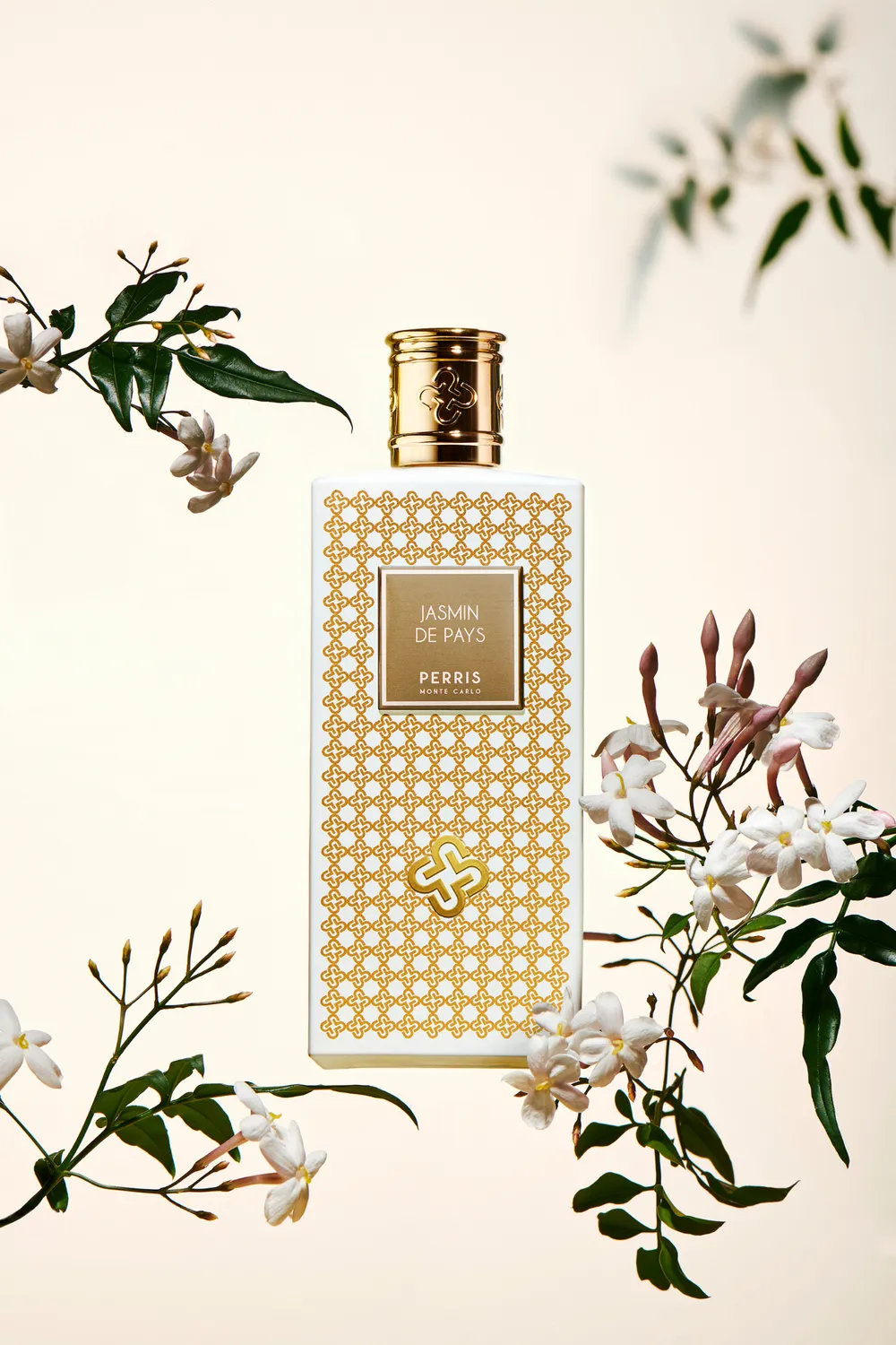 Perris Monte Carlo Jasmin de Pays parfume 100 ml jasmin